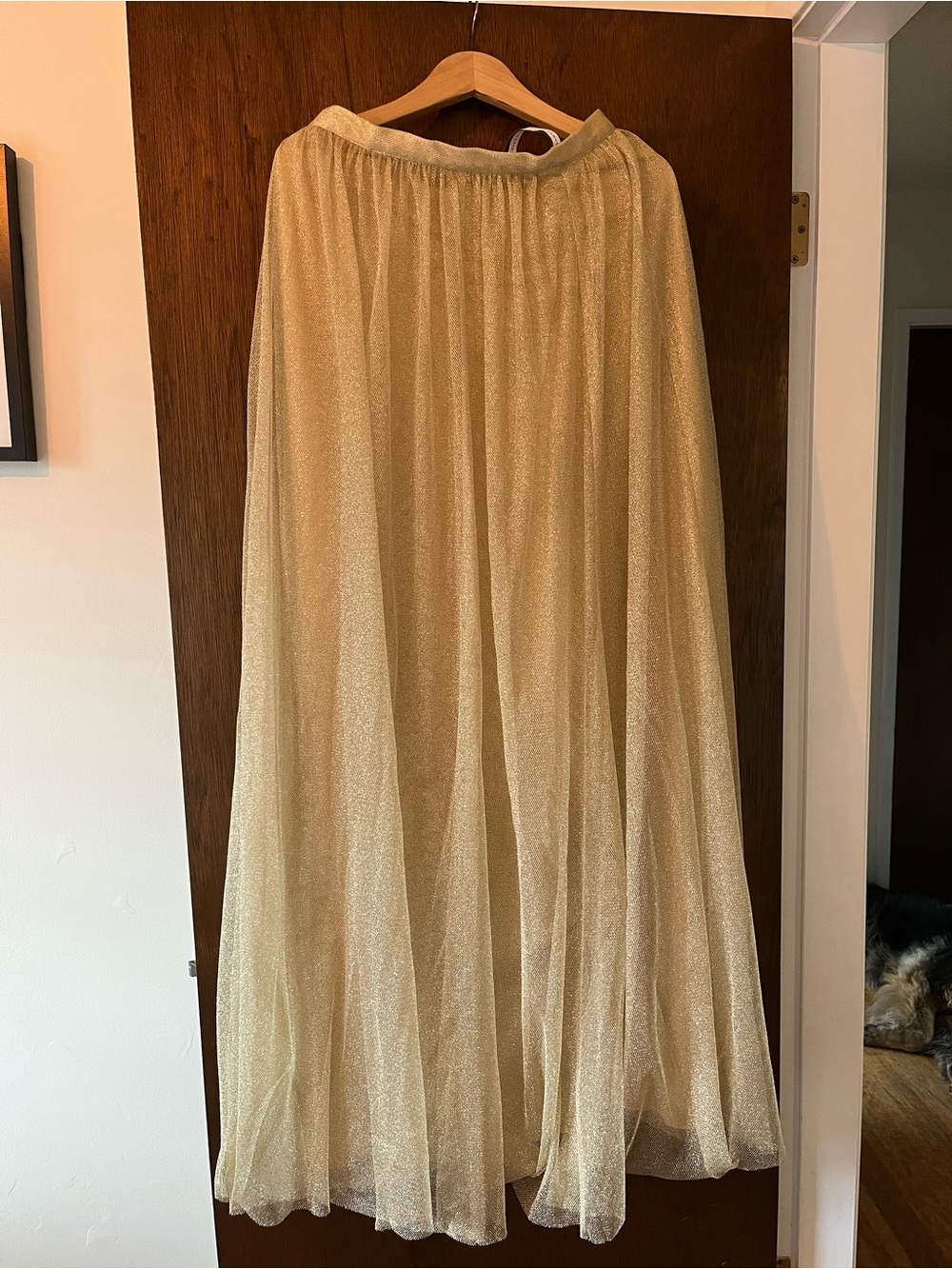 Jenny Yoo Gold Metallic Maxi Skirt